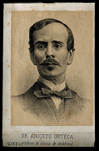 Retrato de Aniceto Ortega de Villar