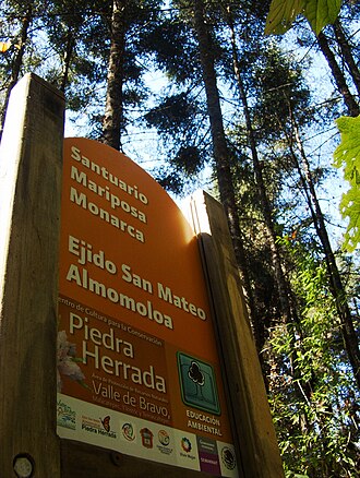 Reserva de la biosfera de la Mariposa Monarca