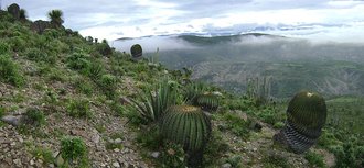 Reserva de la Biosfera Tehuacán-Cuicatlán