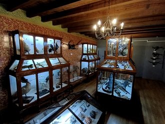 Museo Alfredo Dugès