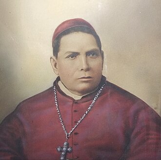 Retrato de Fortino Hipólito Vera y Talonia