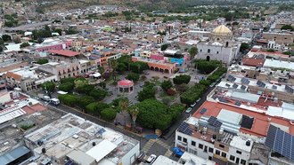 Calvillo