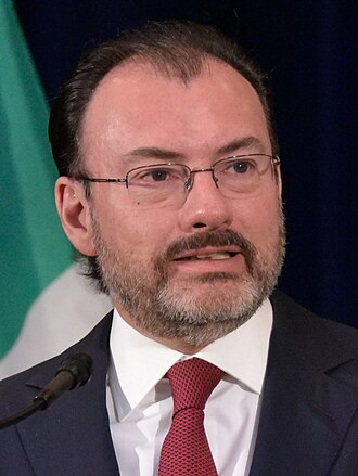 Retrato de Luis Videgaray Caso