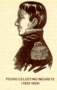 Retrato de Pedro Celestino Negrete