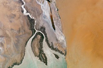 Delta del Río Colorado